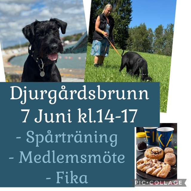 7 juni 2026