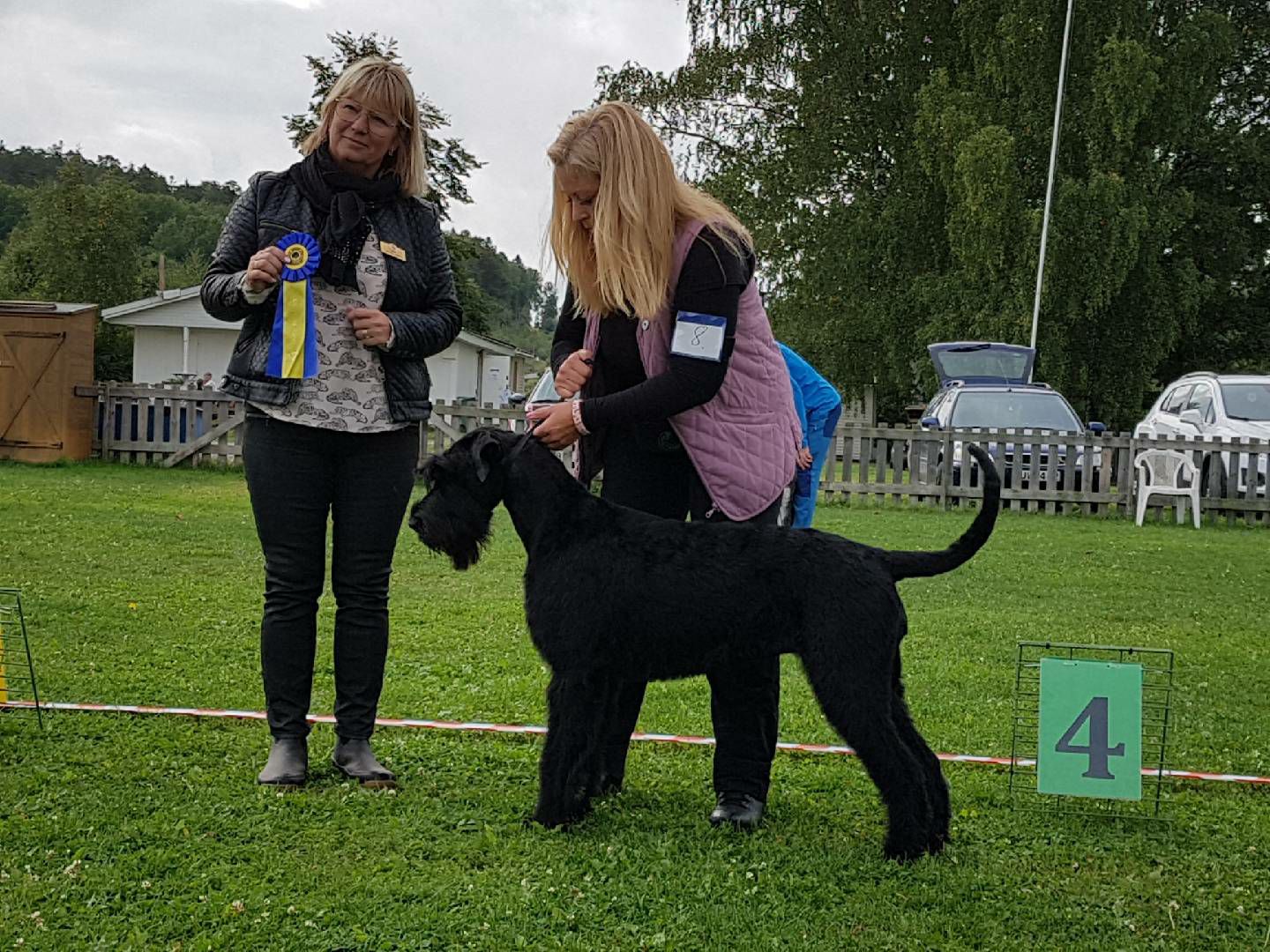 Cert för Riezors Athena